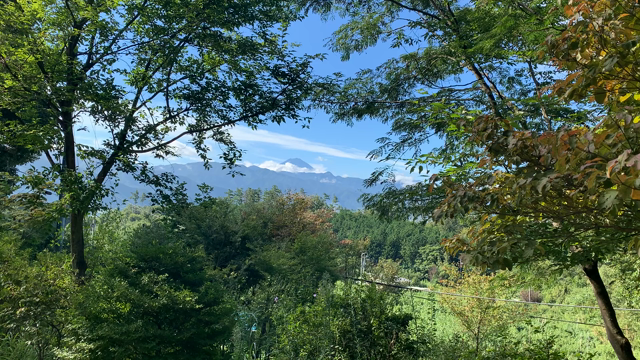 富士山　ようやく登場！の記事動画