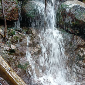 水遊びの画像