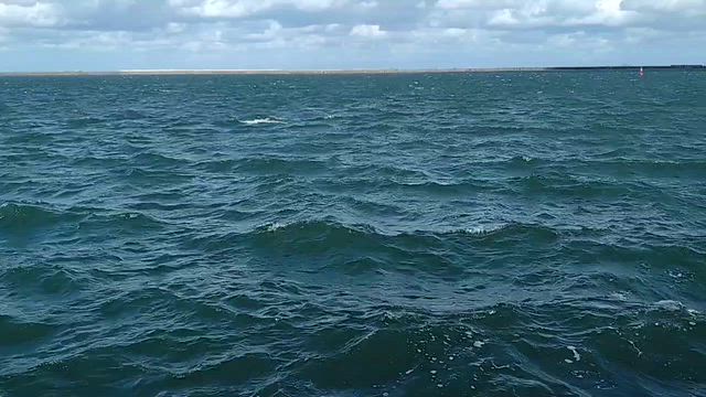 釣果情報：9月22日の記事動画