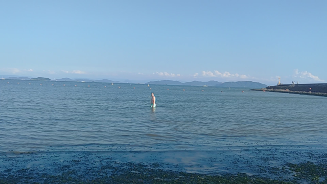 沙美海岸で天国を感じた昨日の記事動画