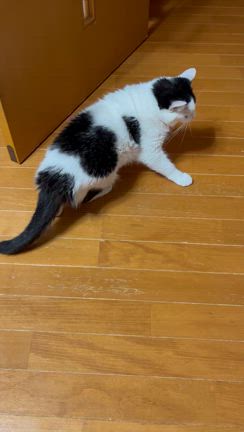 投薬の調整が難しいの記事動画