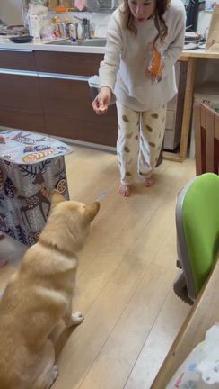 だいじょうぶの記事動画