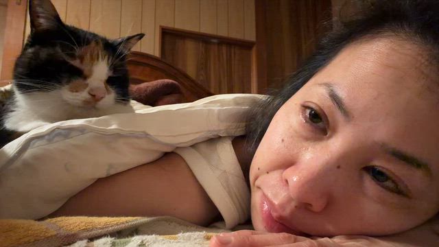 夜中のあんちゃんの記事動画