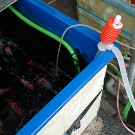 水替えの画像