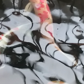 ガリガリの画像