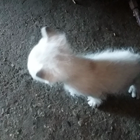 はじめましての画像