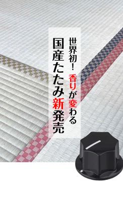 エイプリルフール畳あったらいいなの記事動画