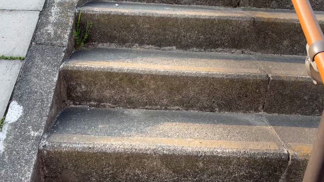 初オープン戦…緊張し過ぎ笑の記事動画