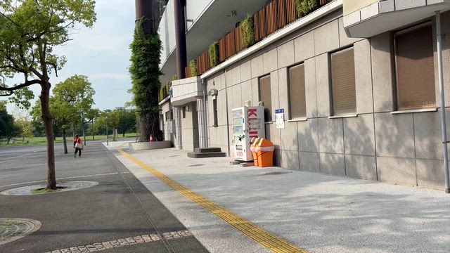 昨晩の大田スタジアムの記事動画