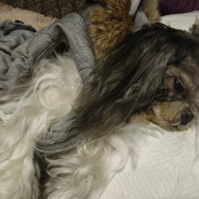 ゆっくり過ごそうねの画像