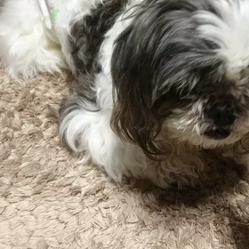 ほふく前進の画像
