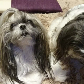 ストーカーの画像