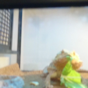 ムシャムシャの画像