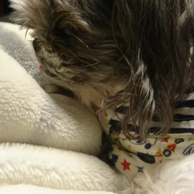 いつも通り？の画像