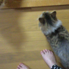 年末年始ってさ〜の画像