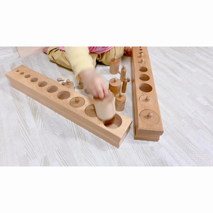 ♡【おうちでモンテッソーリ教育】円柱さし♡の記事動画