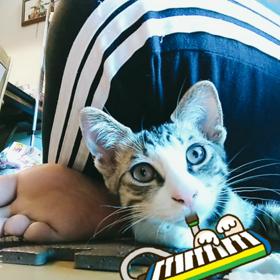 2020/08/31の画像