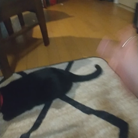 2021/08/29の画像