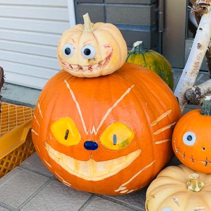 都宮接骨院さんのハロウィーン2024♪ステンドグラスの目がキラリネコバス☆旭川市末広東1条3丁目の記事動画