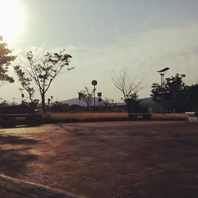 ご無沙汰の画像