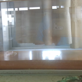 本田圭佑からのメッセージの画像