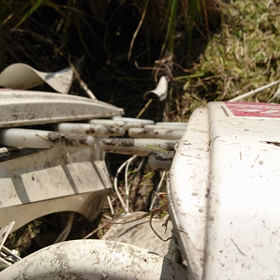 ユンバインの画像