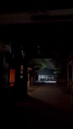 アラフィフ夫婦の高尾山Vlog【後編】奇跡のムササビと絶景夜景の記事動画