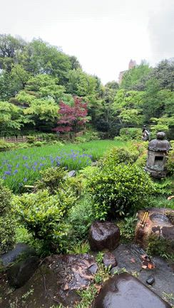 【大人の自由時間】青山・根津美術館と一保堂茶舗へ。雨の日本庭園と茶道の心に浸る午後の記事動画