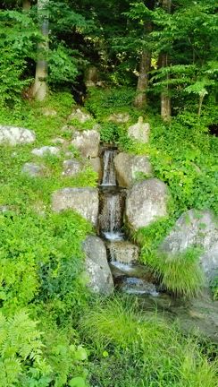 《くらすわの森》駒ヶ根の自然に癒されて〜ソロ活♪楽しいなの記事動画
