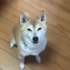 あ痛！の画像