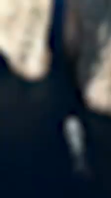 新作個展の記事動画