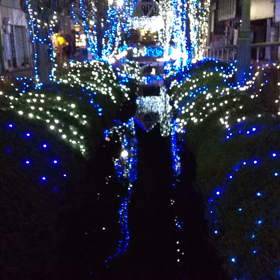 宇都宮市　オリオン通り　イルミネーションの画像