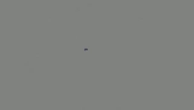 我が家のブレインロットの記事動画