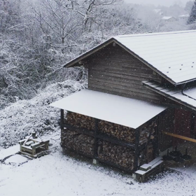 雪や  こんこ⛄️の画像