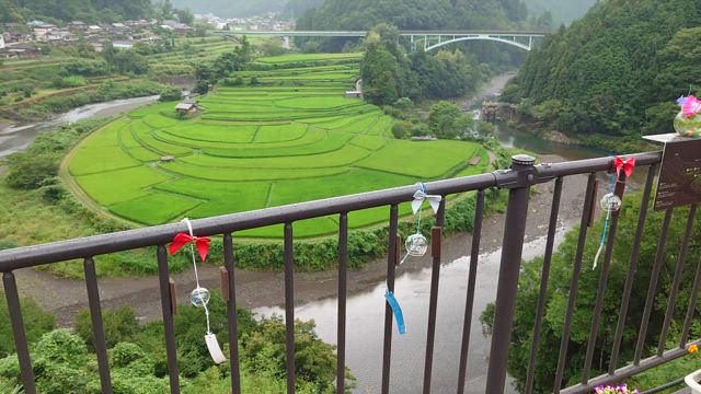 あらぎ島（蘭島）を訪れた探偵の記事動画