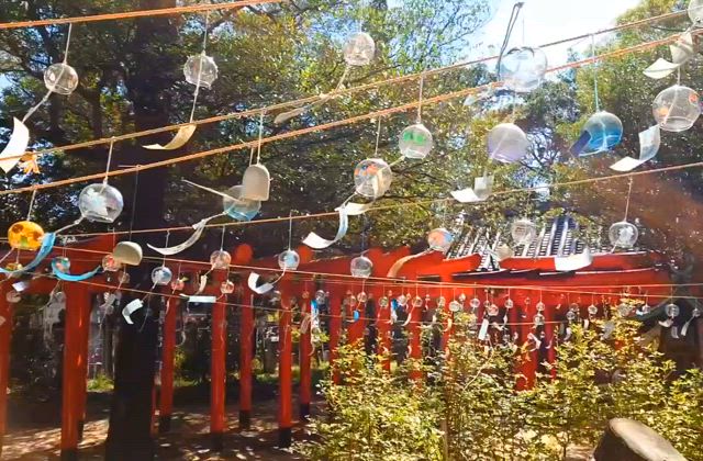 蜂田神社（鈴の宮）の風鈴祭りを訪れる探偵の記事動画
