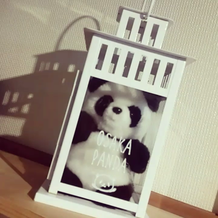 ここまできてますの記事動画