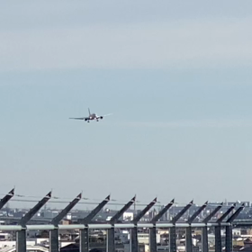 休暇はひこーき三昧❤️〜展望デッキ編〜の画像