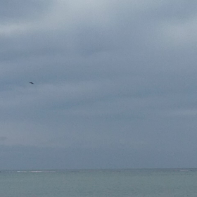 戦闘機の着陸を見てきましたの画像
