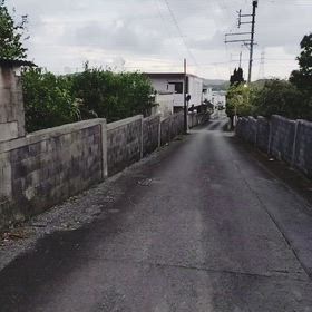 塀で囲む、ハブ対策の画像
