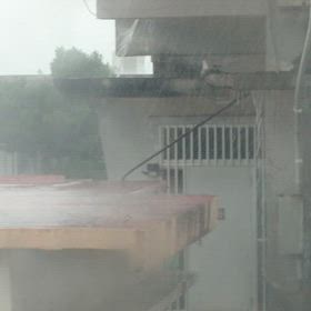 土砂降りを伴って梅雨入りしましたの画像