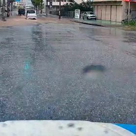 凄い雨でしたの画像