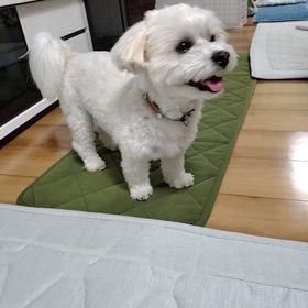 つれないなぁ、、、の画像
