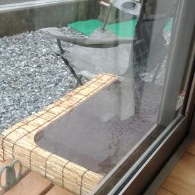 梅雨の中休みの画像