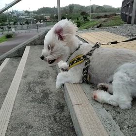 明日から晴れ〜の画像