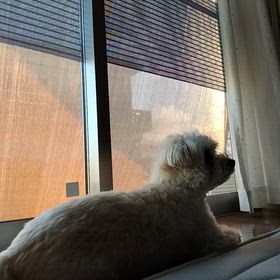 1日のすごし方☀️の画像