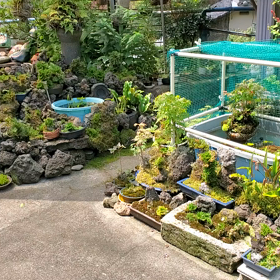噴水！の画像