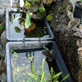 滝の動画の画像