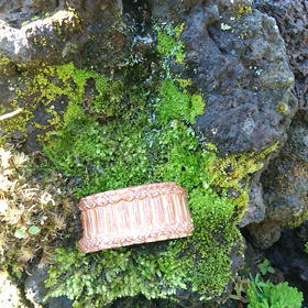 滝の流れ始め、筧 (動画)の画像