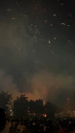 夏の日本帰国、前半。の記事動画